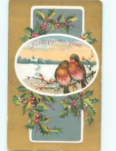 Divided-Back BIRDS SCENE Pretty Postcard AA9273