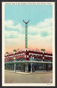 Buckhorn Curio Store San Antonio TX Postcard 4742