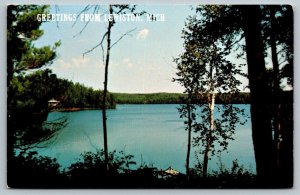 Greetings From Lewiston  Michigan   Postcard