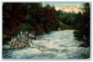 Providence Rhode Island RI Postcard In The Maine Woods Log Diving 1911 Antique