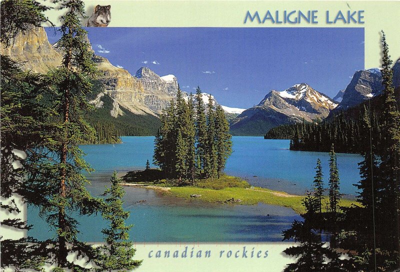 BT16488 Jasper National park maligne lake  canada