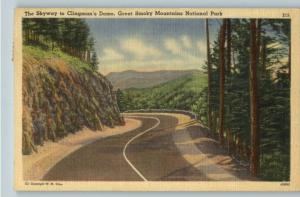 Linen Postcard-Clingman's Dome Skyway..Smoky Mountains