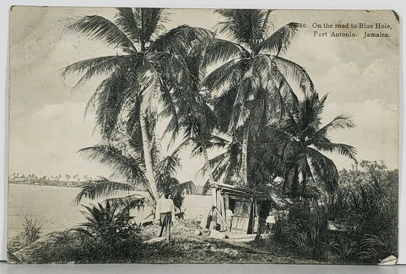 Jamaica On The Road to Blue Hole, Port Antonio 1911 to New York Postcard K1