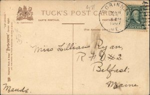 Kittens Cats Cat Studies Books Reading Comic Tuckc1900s-20s Postcard