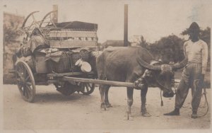 RPPC OXEN CART PHILIPPINES ISLANDS REAL PHOTO POSTCARD (c. 1910)