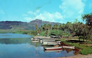 Vintage Excursion Boats Wailua River fern Grotto Kauai, HI. Postcard F74