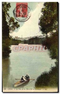 Old Postcard Lyon Parc de la Tete Gold and Fourviere