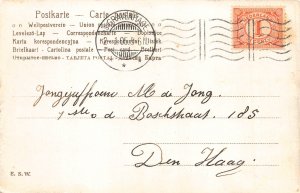 Anthropomorphic Humanized Cats Riding Bicycles Fallen Cat 1905 postcard B904