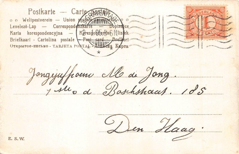 Anthropomorphic Humanized Cats Riding Bicycles Fallen Cat 1905 postcard B904