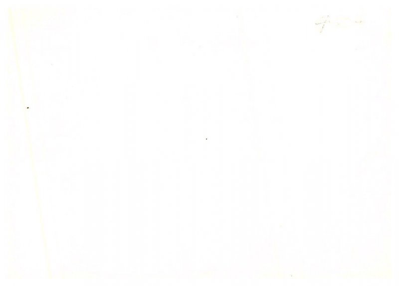 Nude Model,  Vintage Photo