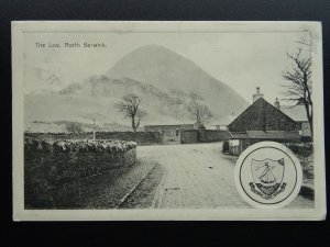 Scotland NORTH BERWICK, THE LAW c1912 Postcard by Hills