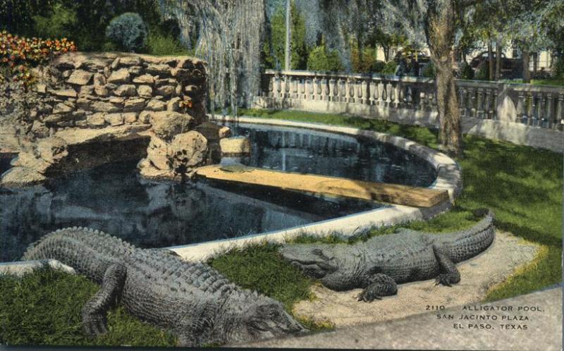 Alligator Pool at San Jacinto Plaza - El Paso TX, Texas - Linen