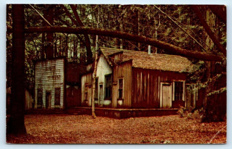 BIG TREES PARK, CA California~ Ghost Town RESORT 1953 Santa Cruz County Postcard