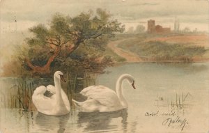 Holidays & celebrations 1900s greetings swan lake chuarch Hungary