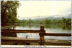 Webster's Pandan Valley Drive Syracuse New York NY Forest Mountains Postcard