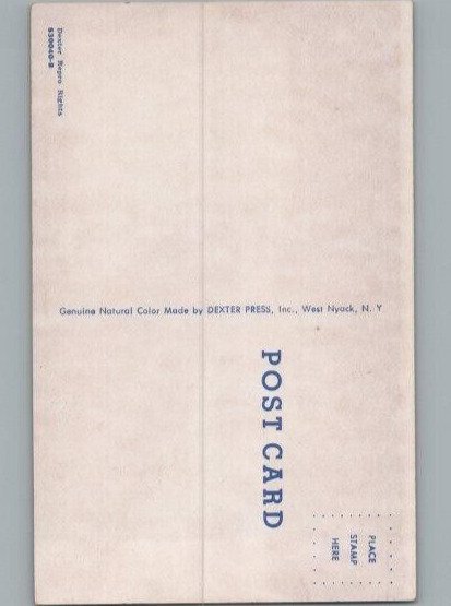 Greetings From New Hampshire Map w Landmarks Vintage Chrome Postcard