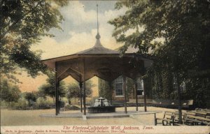 Jackson TN Electro-Calybeiate Well c1910 Postcard