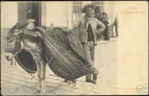 spain, SEVILLA, Costumbres del Pais, Donkey (ca. 1899)