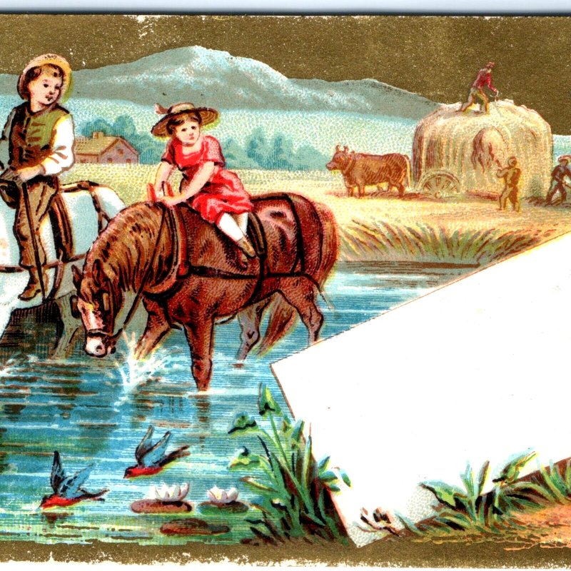 c1880s Beautiful Farm Kids Advertising Business Card Litho Stock Trade Card C34