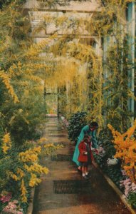 1958 Longwood Garden Orchid Room Kennett Square Pennsylvania PA Posted Postcard