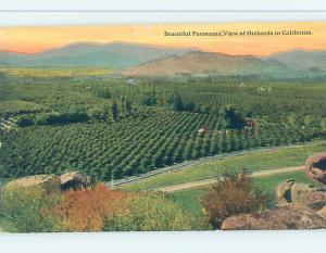 Divided-Back ORANGE GROVES Postmarked Fresno California CA F9569