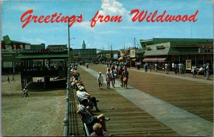 Greetings From Wildwood  By The Sea Boardwalk New Jersey Vintage Postcard C153