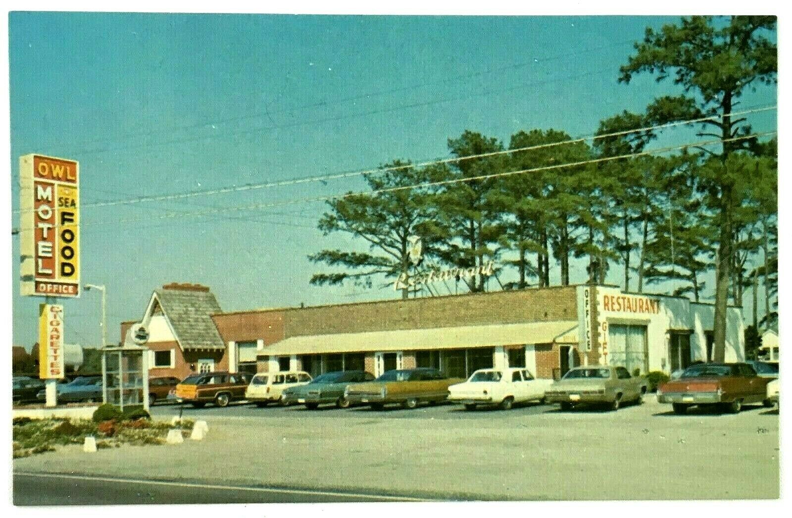 1960s The Owl Motel Restaurant Postcard Roadside Cars Phone Booth