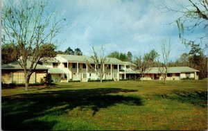 Vtg Albany Georgia GA Radium Springs Inn Motel 1950s Old Chrome View Postcard