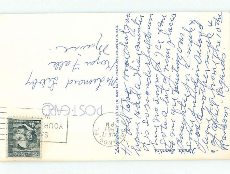 Pre-1980 risque FLORIDA BEAUTY - SEXY GIRL HOLDS ORANGES IN DRESS W5361