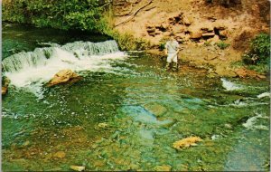 Trout Fishing Murray River PEI Prince Edward Island PE Waterfalls Postcard H52