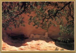 Postcard AZ Canyon De Chelly - Mummy Cave Ruin in Canyon Del Muerto