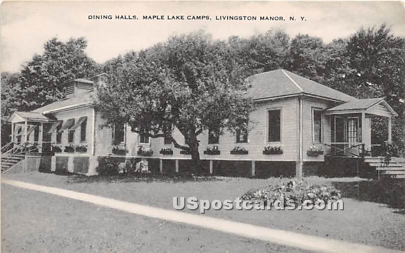 Maple Lake Camps Livingston Manor NY Unused United States New York