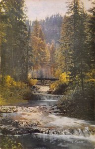 Mountain Stream Spearfish Canyon Northern Black Hills, South Dakota SD s 