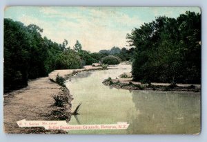 Rotorua New Zealand Postcard In the Sanatorium Grounds c1910 Antique