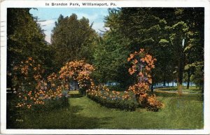 Brandon Park,, Williamsport Pennsylvania postcard