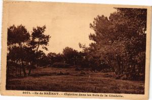CPA Ile de BRÉHAT-Clairiéne dans les Bois de la Citadelle (230456)