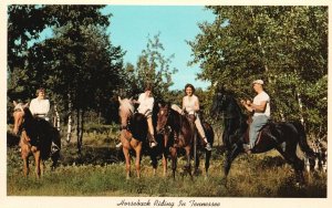 Vintage Postcard Horseback Riding Walking & Quarter Horses Tennessee TN 