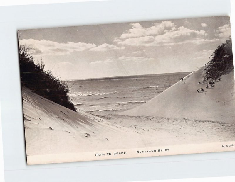 Postcard Path To Beach Duneland Study Indiana Dunes State Park Chesterton IN USA