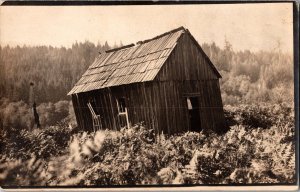 School House at Lobster Near Alsea OR Vintage Postcard M54