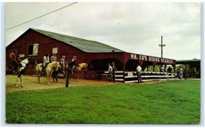 BOWLING GREEN, KY ~ Horses ~ MR ED'S STABLES c1960s Warren County  Postcard