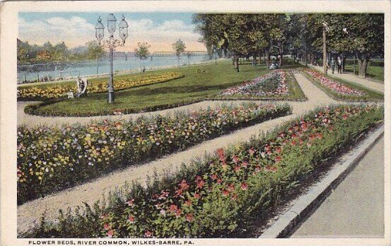 Flower Beds River Common Wilkes Barre Pennsylvania