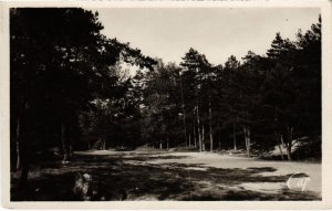 CPA Nemours La Sabliere (1267617)