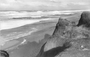 BG15381 insel sylt am roten kliff   germany CPSM 14x9cm