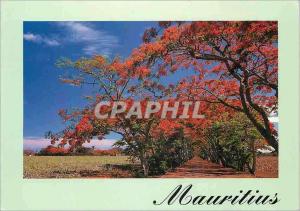  Modern Postcard Mauritius Blazing