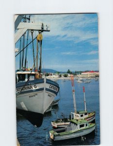 Postcard Fishing Boats Santa Cruz California USA