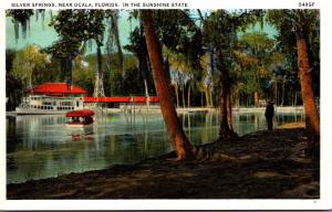 Florida Silver Springs Lagoon Scene