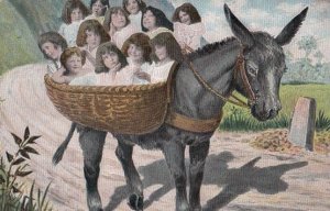 12 Children On A Overloaded Donkey Rides Antique Postcard