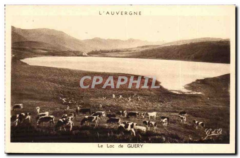 Auvergne Old Postcard Lake Guery (cows)