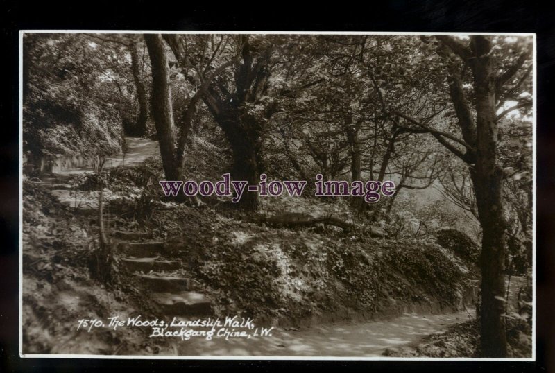 h2079 - Isle of Wight - The Woods & Landslip Walk, at Blackgang Chine - postcard