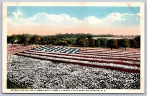 K50/ Rochester New York Postcard c1910 Aster Flower Flag Vick's Patriotic 150